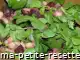 salade bretonne