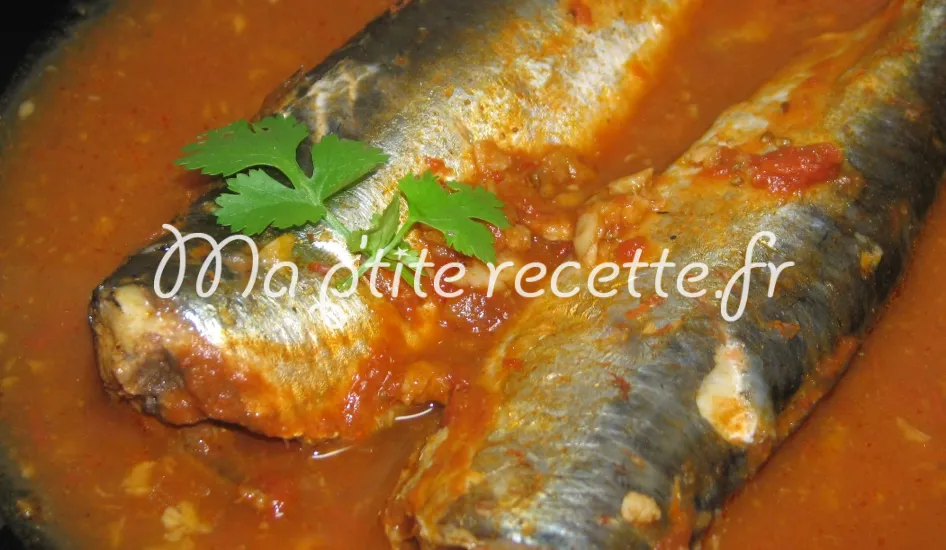 sardines en sauce tomate
